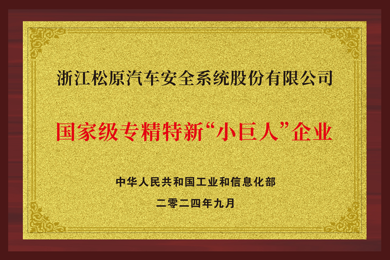 国度级专精特新“幼巨人”企业