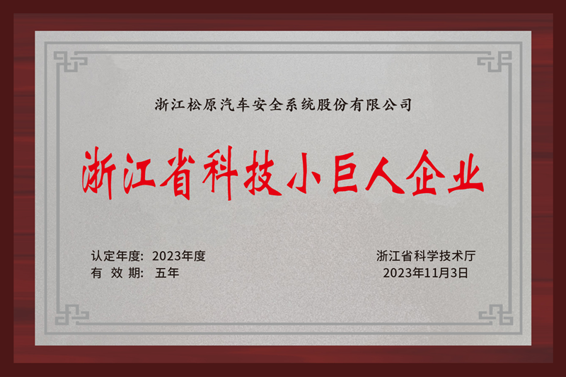 浙江省科技幼巨人企业